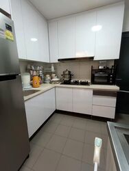 Blk 1 The Pinnacle@Duxton (Bukit Merah), HDB 4 Rooms #453756381